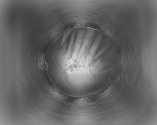X0000053150082200507251853
