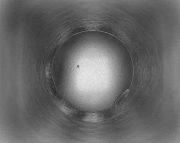 X0000053150083200507251853