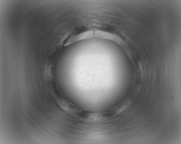 X0000053150088200507251853