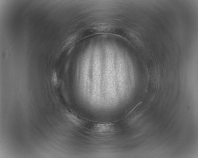 X0000053150089200507251853
