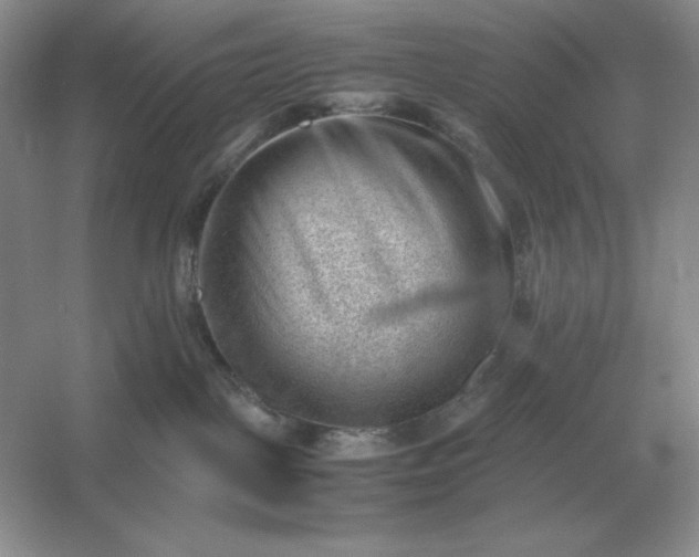 X0000053150093200507251853