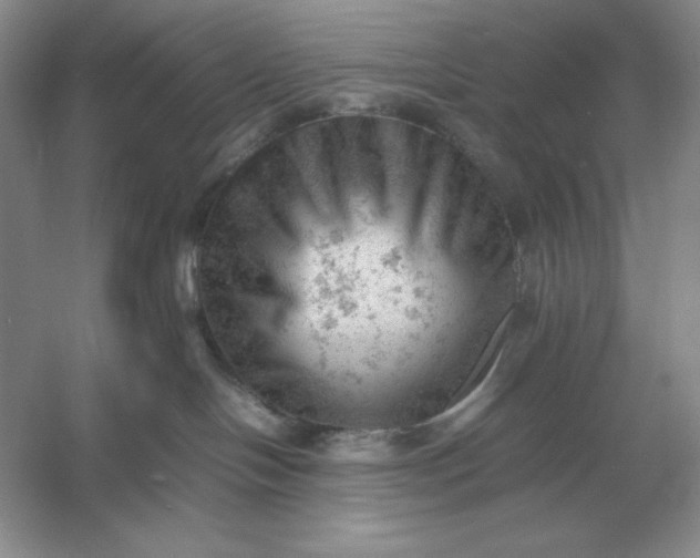 X0000053150094200507251853