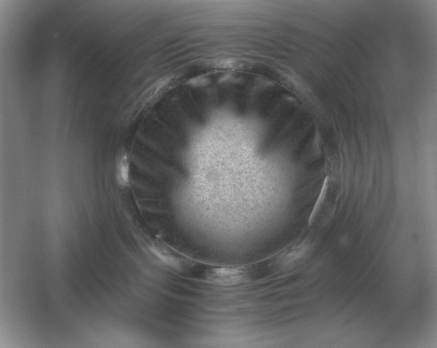 X0000053150095200507251853