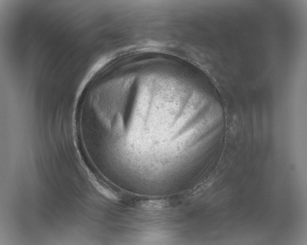 X0000053150102200507251852