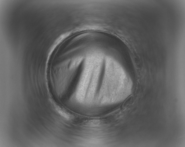 X0000053150104200507251852