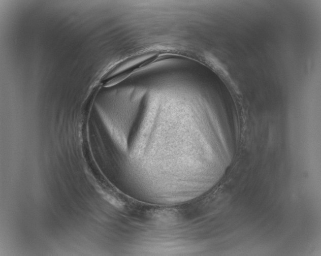 X0000053150106200507251852