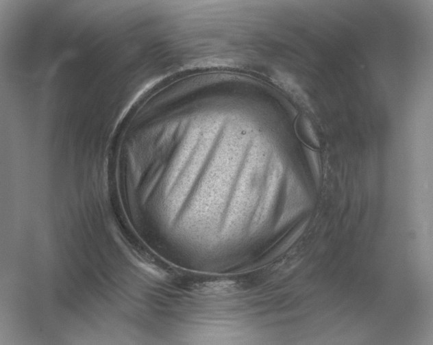 X0000053150108200507251852