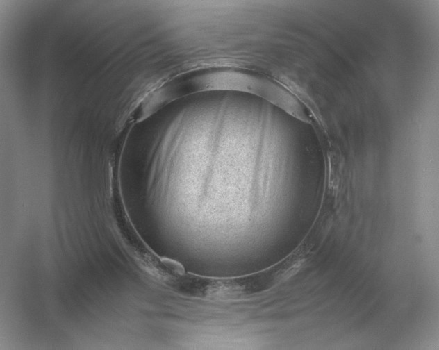 X0000053150109200507251852
