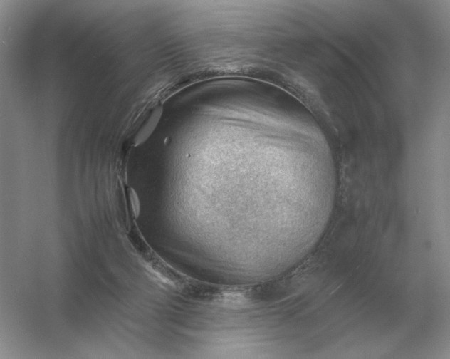 X0000053150114200507251852