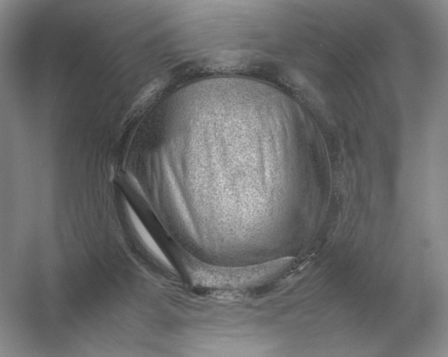 X0000053150115200507251852