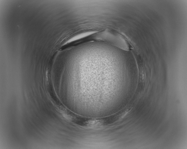 X0000053150117200507251852