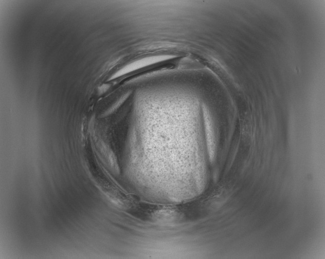 X0000053150119200507251852