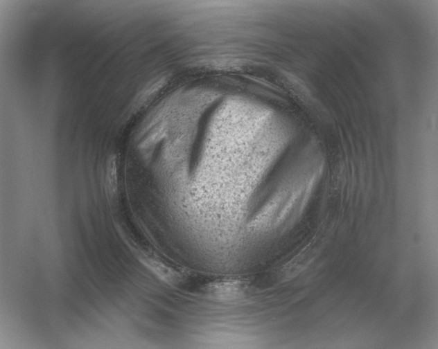 X0000053150120200507251852