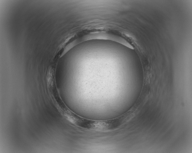 X0000053150121200507251852