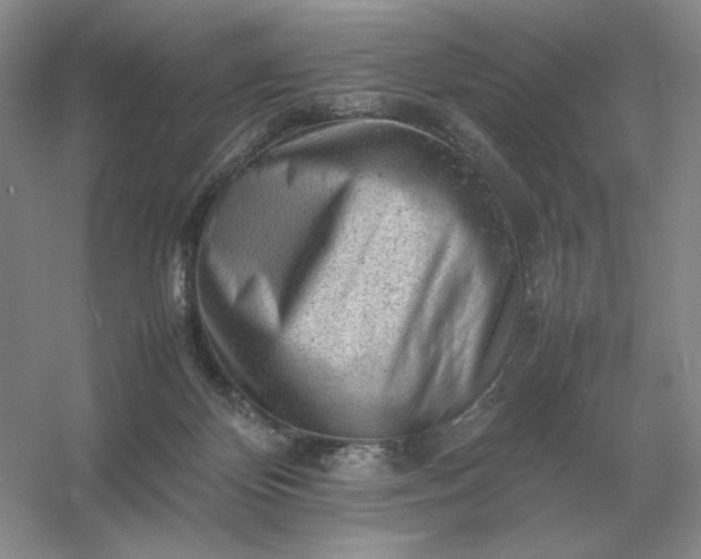 X0000053150124200507251852