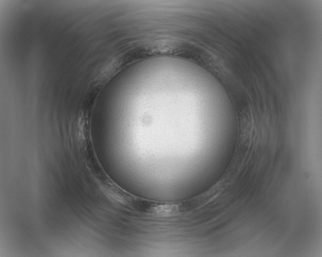 X0000053150126200507251852