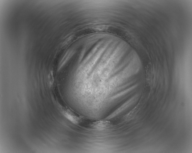 X0000053150128200507251852