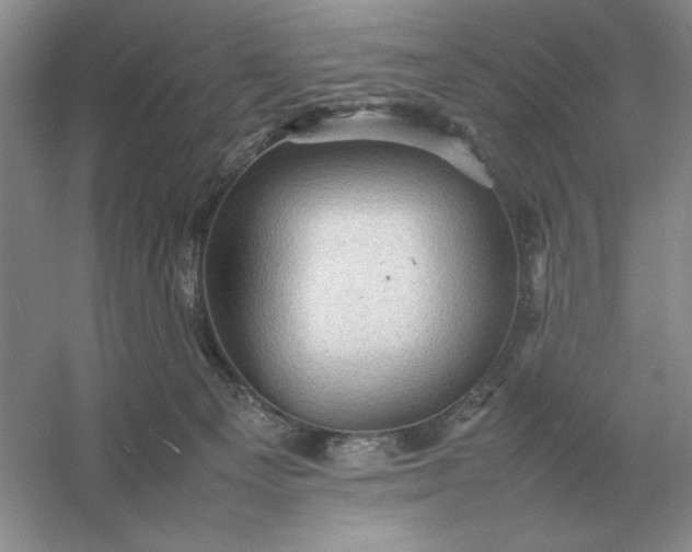 X0000053150129200507251851