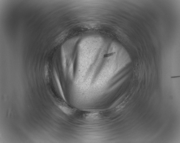 X0000053150132200507251851