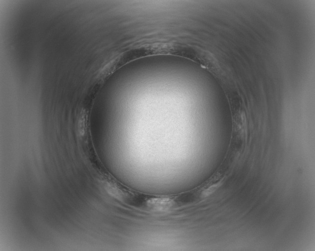 X0000053150133200507251851