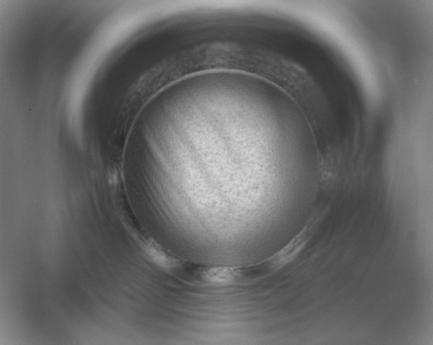 X0000053150142200507251851