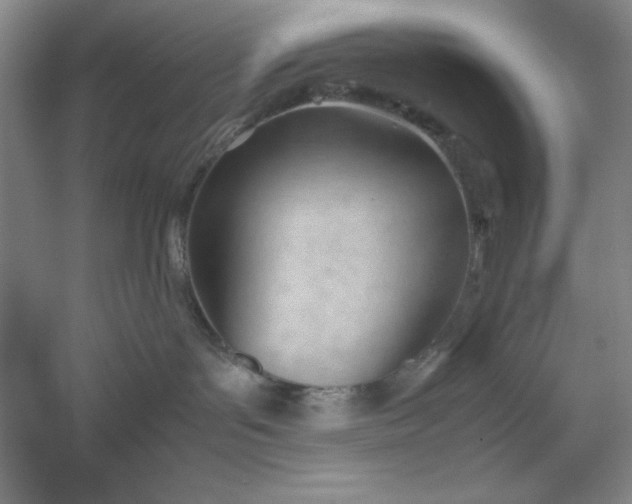 X0000053150143200507251851