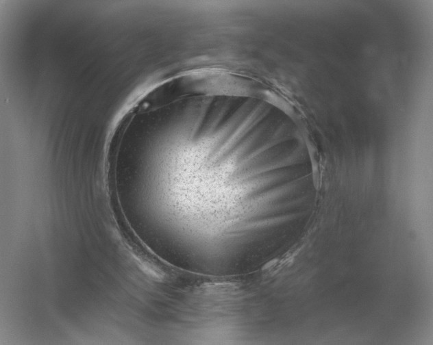 X0000053150150200507251850