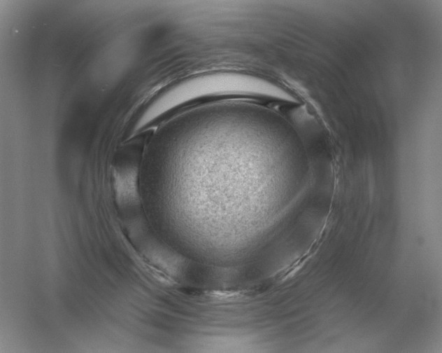 X0000053150154200507251851