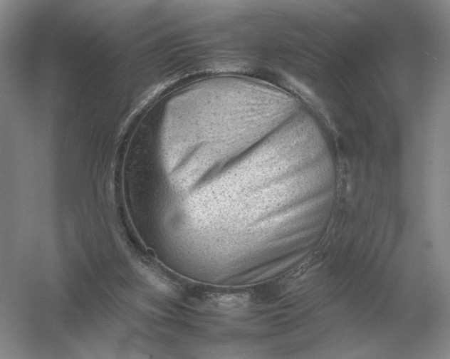 X0000053150155200507251851