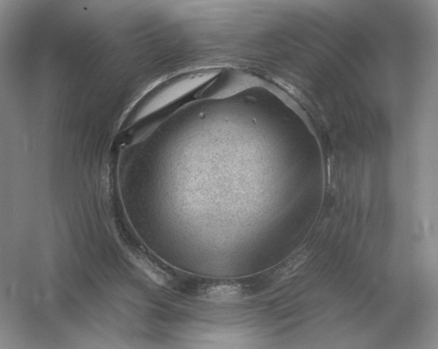 X0000053150156200507251851