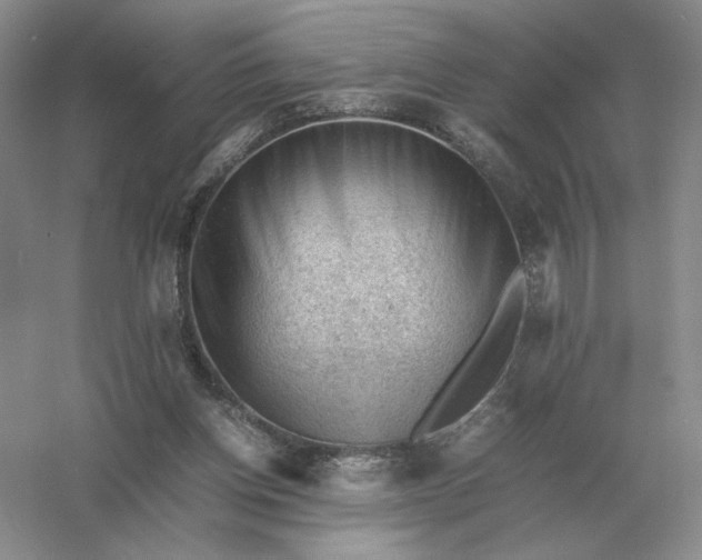 X0000053150158200507251851