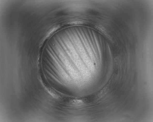 X0000053150159200507251851