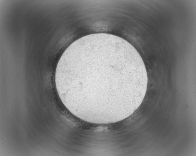 X0000053150162200507251851