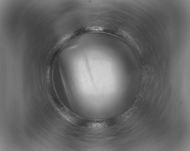 X0000053150163200507251851