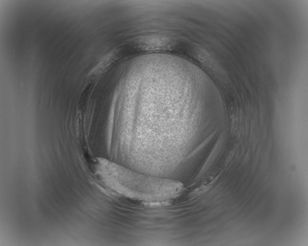 X0000053150165200507251851