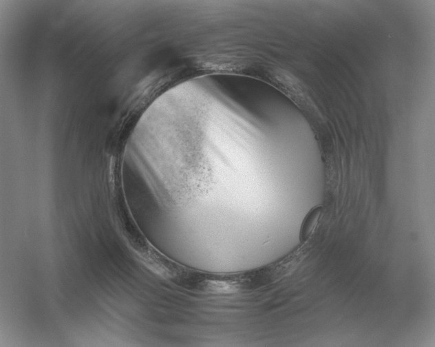 X0000053150167200507251851