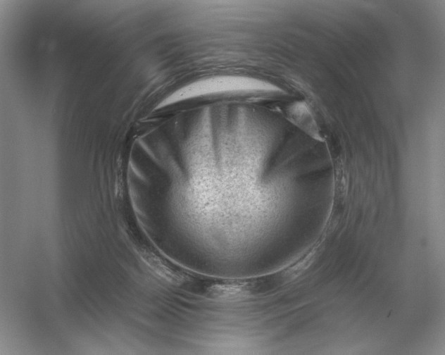 X0000053150170200507251851