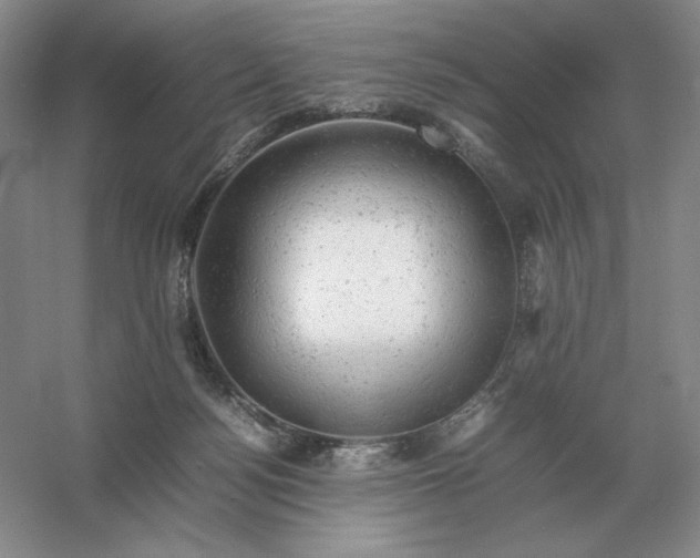 X0000053150172200507251851