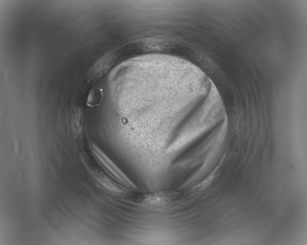 X0000053150174200507251851