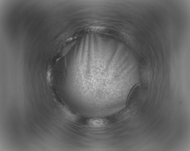X0000053150181200507251851