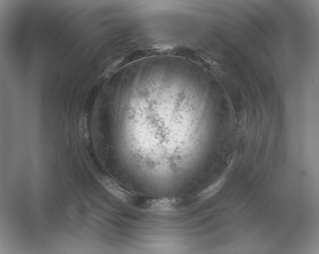 X0000053150182200507251851