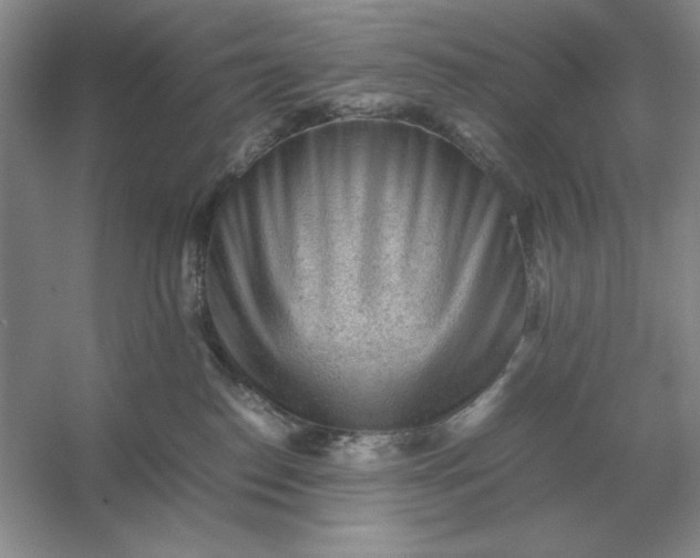 X0000053150186200507251851