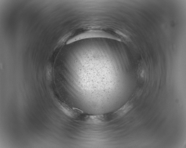 X0000053150188200507251851