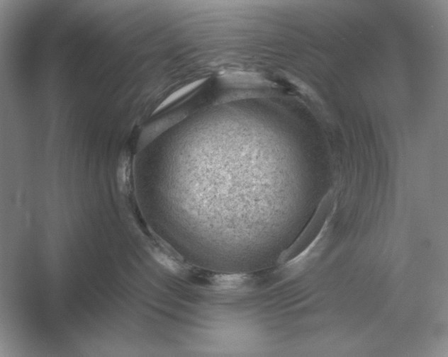 X0000053150192200507251851