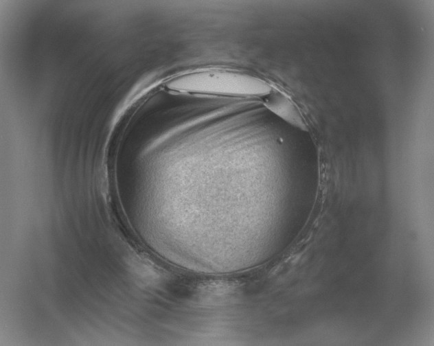 X0000053150198200507251850