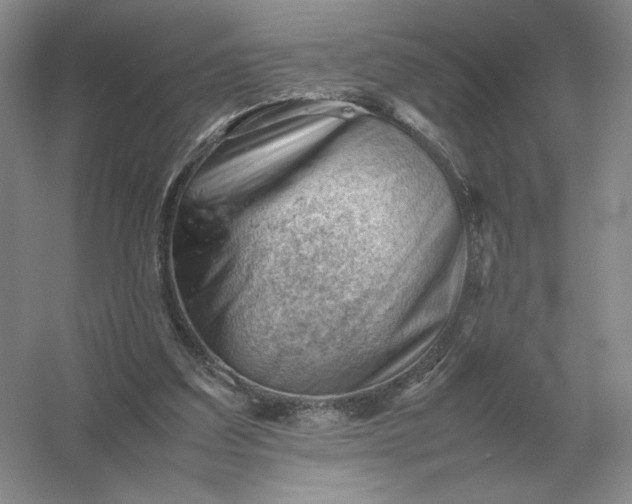 X0000053150203200507251850