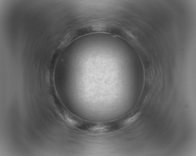 X0000053150213200507251850