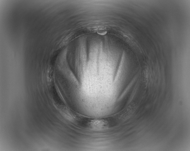 X0000053150218200507251850