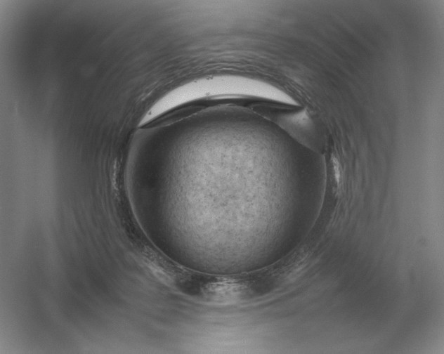 X0000053150219200507251850