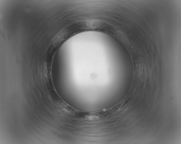 X0000053150220200507251850